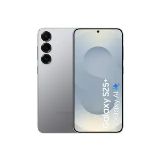 Samsung Galaxy S25+ 12 GB RAM 256 GB Silver Shadow
