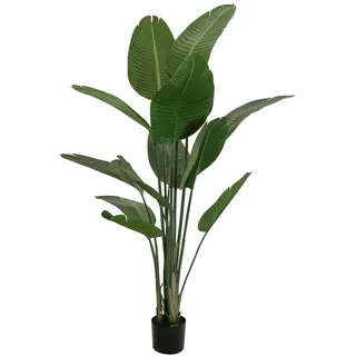 Europalms Strelitzie, Kunstpflanze, 170cm