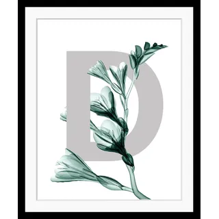 queence Bild "D-Flower" Buchstaben  Pflanzen  Pflanzenbilder Blume, Blätter, gerahmt, farbe rahmen: schwarz, farbe bild(er): grau, dunkelgrün