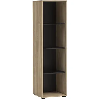 Schildmeyer Emmik Aktenregal 44,8 x 41 x 163,6 cm braun