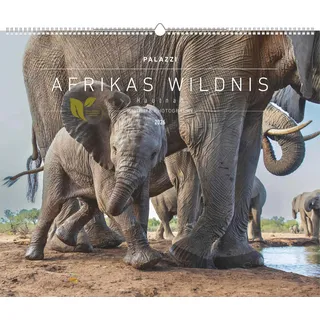 teNeues Calendars & Stationery GmbH & Co. KG Palazzi - Hautnah – Afrikas Wildnis 2026 – Wandkalender 60×50 cm mit 12 Tierfotografien, Poster-Kalender mit Wildtieren & humorvollen Bildunterschriften: Wildlife Photography