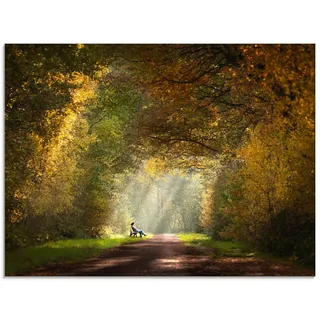 Artland Glasbild »Licht am Ende des Tunnels...« Wald 1 Stk. tlg. in verschiedenen Größen, grün