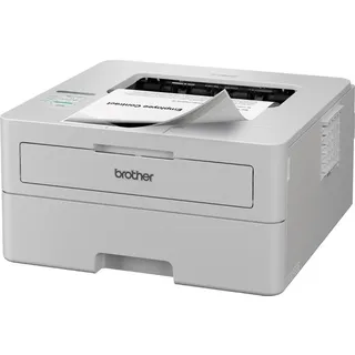 Brother HL-L2865DW Laser, einfarbig (HLL2865DWRE1)