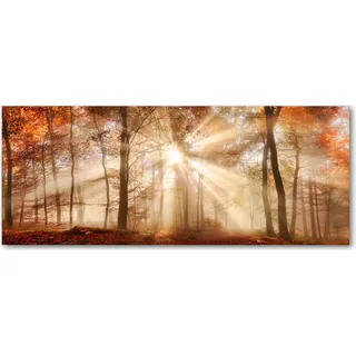 Tulup® Küchenrückwand Spritzschutz aus Glas -125x50 -Spritzschutz auf gehärtetes Glas Deko Landschaften Nebel Herbst Wald