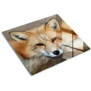 Tulup Glasplatte 60x52 cm Fuchs , Beige , Glas , 60x0.4x52 cm , Küchen, Küchenelektrogeräte, Herde, Herdabdeckplatten