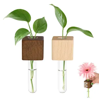 Muorruo Set mit 2 magnetischen Reagenzglas-Blumenvasen für den Kühlschrank, magnetische Pflanzgefäße aus Holz mit Glasröhrchen, Anzuchtstation für Hydrokultur (Pflanze Nicht enthalten)
