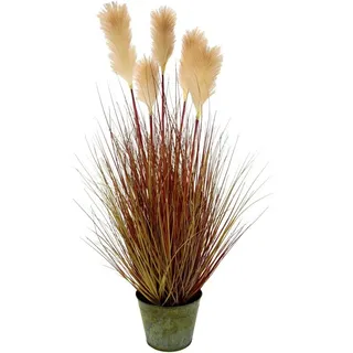 I.GE.A. »Pampasgras« Im Metalltopf,