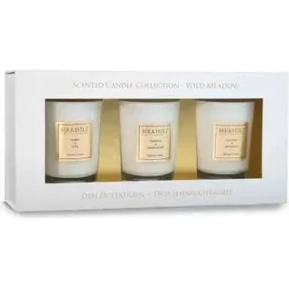 Birkholz Mini-Duftkerze Wildwiese Set 3x60g