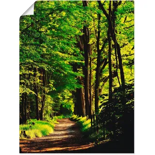 Artland Wandbild »Weg im Wald«, Wald, (1 St.), als Alubild, Outdoorbild, Leinwandbild, Poster in verschied. Größen, grün