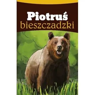 Piotruś aus den Bieszczady-Bergen. Spielkarten