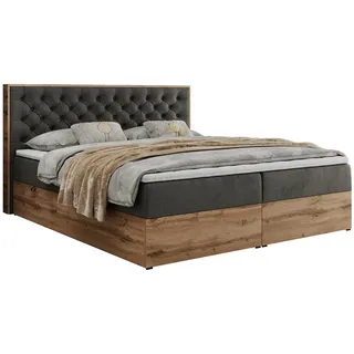 MKS Meble Boxspringbett, Deko, Doppelbett, Polsterbett mit Bettkästen und Multipocket-Matratze, Eiche Wotan holzrahmen - Albero-3 - 160x200cm - Dunkelgrau Velvet - H3 - Grau
