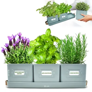 Green Thumbz 3 STK. Kräutertopf - Kräutertöpfe für Deinen Kräutergarten und Fensterbank Innen Dekoration - Basilikum Topf mit Ledergriffen & Untersetzer - Küchenkräuter Topf (Tealblau)