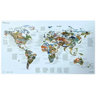Awesome Maps Mountain Bike Best Trails In The World Karte - One Size