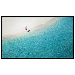 Blitzwolf Bw-vs4 120 ́ ́ Projektionsfläche - White / Black