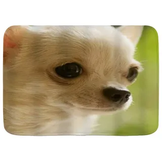 Minalo Nette Nahaufnahme Chihuahua Nette Saubere Gesicht Bad Teppich Personalisierte Dekoration Badezimmer Bodenmatte 75x45cm
