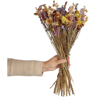 Butlers Trockenblumenstrauss Flower Market , Multicolor , Naturmaterialen , 1 cm , Dekoration, Blumen & Blumentöpfe