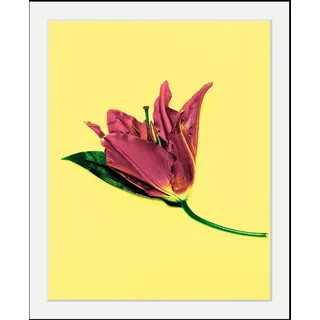 Queence »Blume« Blumen Blumenbilder Kunst Pflanzen HD Premium Poster-Druck inkl. Holzrahmen,