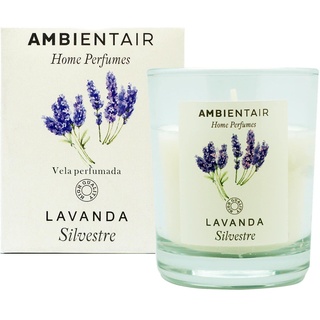 Ambientair Home Perfume Duftkerze, wilder Lavendel Lufterfrischer, Duftkerze für Zuhause, Aromatherapie, Glaskerze für den Innenbereich, VV001LVAP