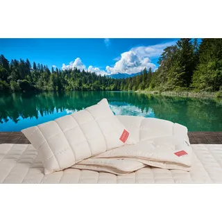 Hefel Kopfkissen »Bio Zirbe« 1 Stk. tlg., beige