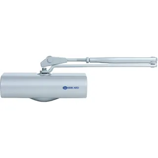 BRICARD 2064 Ferme Porte Hydraulische Stärke 4 Coupé/Feuer Silber