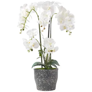 Homescapes Kunstblume Orchidee weiß im Deko-Topf, 82 cm