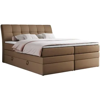 MKS Gold 10 King 180 x 200 cm H3 Braun