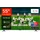 55C61KS 55 Zoll QD-MiniLED 4K Google TV