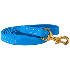 J&J Dog Supplies Biothane Hundeleine, 3/4" Wide by 6' Long, himmelblau