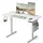 Höhenverstellbarer Schreibtisch 120 x 60 cm Wolkenweiß