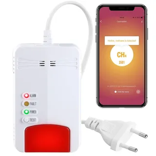 VisorTech Gasmelder Erdgas WLAN: Smarter Multi-Gasmelder für haushaltsübliche Gase, WLAN & App, 85 dB (Smart Home, Elesion, Grill)