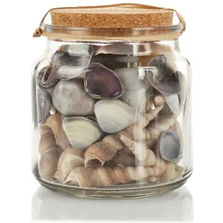 com-four® Deko-Muscheln - Glas mit schönen Muscheln - Maritime Dekoartikel für Meeresfeeling (1x Glas - Grau)