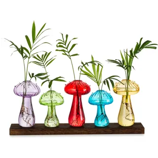 Glasseam Pilzförmige Glasvase, Deko Vase Bunt 5er Set, Blumenvase Modern, Kleine Vasen für Tischdeko, Pilz Holz Glas Vase Propagation Station für Couchtisch Dekoration,Minivasen Geschenke für Frauen