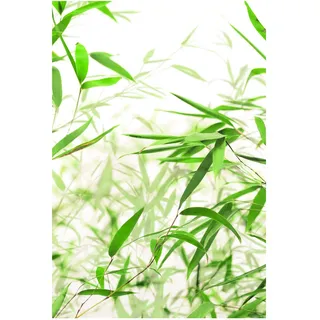 KOMAR Wandbild Bamboo Leaves 50 x 70 cm