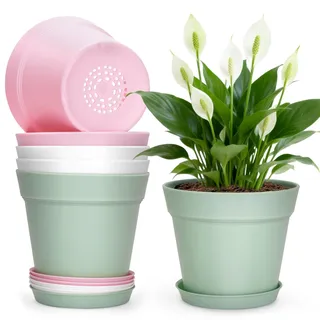 KINGLAKE 15cm Blumentöpfe mit Untersetzer - 6 Stück Pflanztöpfe Klein, übertopf Pflanztopf, Blumentopf Kunststoff Set, Topf Kleine Flower Pot für Pflanzen Kakteen Kräuter-Bunt