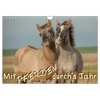 Kalender 2027 · Mit Pferden durch ́s Jahr | Wer Pfede liebt, wird auch diesem Kalender einen Ehrenplatz an der Wand geben: 13... · DIN A4 quer · CALVENDO Wandkalender