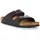 Arizona Birko-Flor