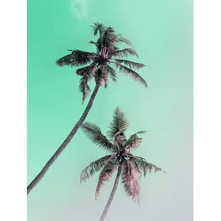 KOMAR Wandbild Miami Palms 30 x 40 cm