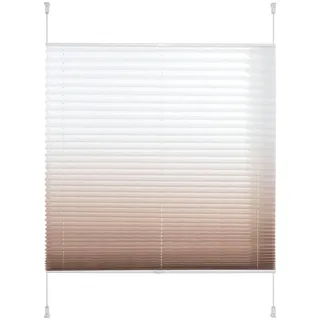 Plissee LIEDECO "Farbverlauf" Gr. 4, braun (kaffee), B:80cm H:130cm, Obermaterial: 100% Polyester, Plissees, Plissee