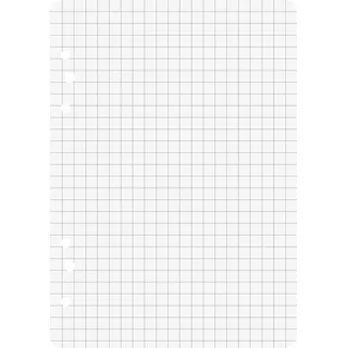 Brunnen Ringbucheinlagen A6 kariert, 50 Blatt