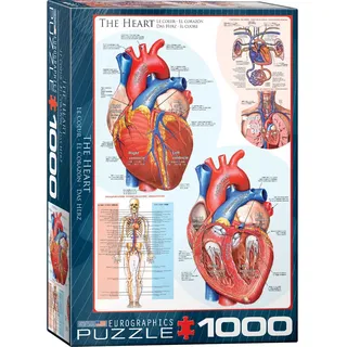 Das menschliche Herz - Anatomie Puzzle - 1000 Teile Puzzle im Format 68x48 cm