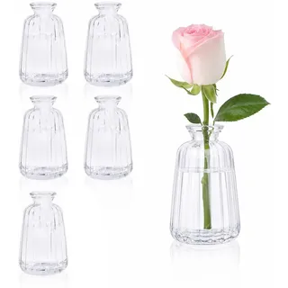 6 Stück Kleine Vasen für Tischdeko (11× 6,5cm) Mini Glasvase Set Blumenvasen für Tischdeko Hochzeit