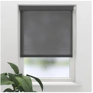 SOLUNA Tageslichtrollo T21 transparent anthrazit 210x190 cm