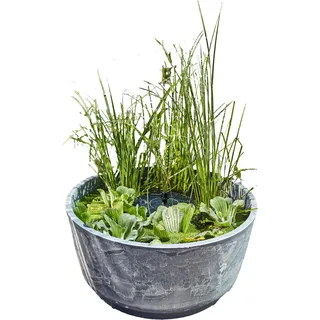 Heissner Solar-Wassergarten Aquatopia