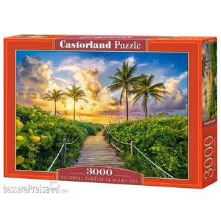 Castorland Puzzle Miami, USA - Landschaft 3000 Teile Jigsaw