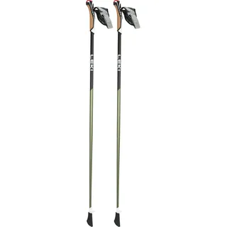 Leki Flash Carbon 105 cm grün-schwarz