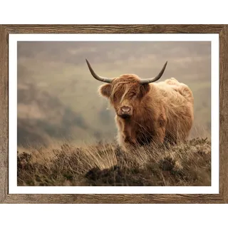 Bild mit Rahmen BÖNNINGHOFF "Wandbild gerahmt HOCHLANDRIND 40x50 cm – Tiermotiv Natur Landhaus Deko", braun (farbe rahmen: schwarz oak, farbe bild(er): braun, beige), B:50cm H:40cm T:2,1cm, MDF, Papier, Bilder, Bild mit Rahmen, mit dekorativem Rahmen