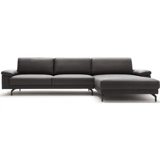 Creation BY ROLF BENZ Ecksofa "CR.450 elegantes Designsofa mit hohem Sitzkomfort", graubraun