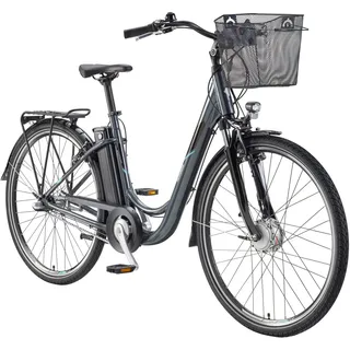 Telefunken RC830 2022 28 Zoll RH 48 cm Damen grau