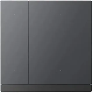 GVS WALTZ Tastsensor+ Aluminium Schwarz 2-fach - CHPB-04/02.1.21