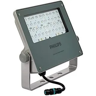 Philips Außenleuchte Aluminium, Metall schwenkbar mit Bewegungsmelder grau